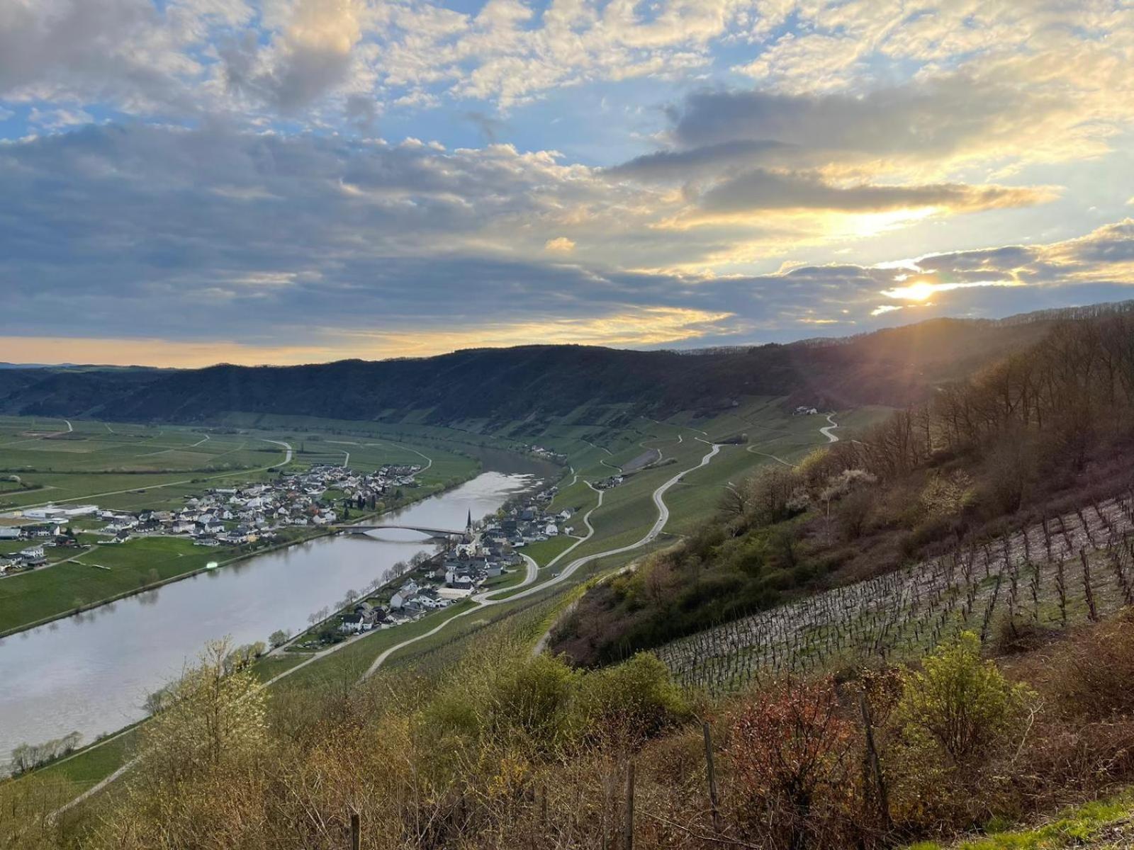 Die Ferienwohnungen Dominik Horath Habitación foto